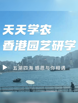 与香港园艺学会联合举办香港园艺研学，专业园境师带队讲解。